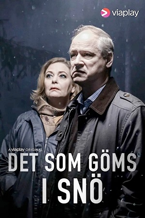 Det som göms i snö.jpg