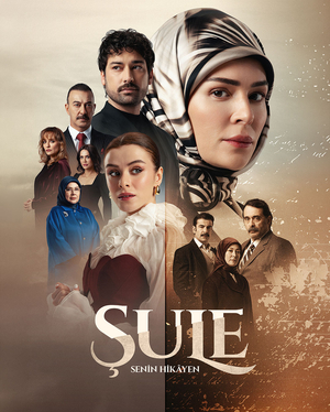 Шуле Твоя история.jpg