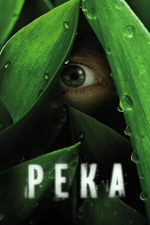 Река.jpg