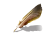 Рецензент